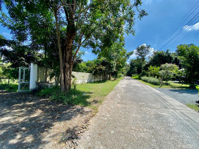 place photo 50