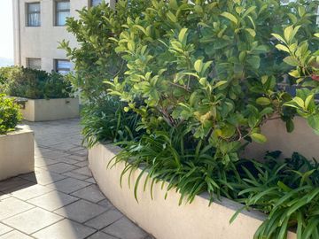 place photo 21