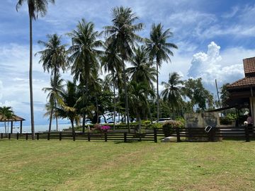 place photo 40