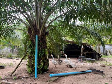 place photo 34