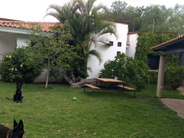 place photo 24