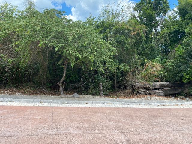 place photo 24