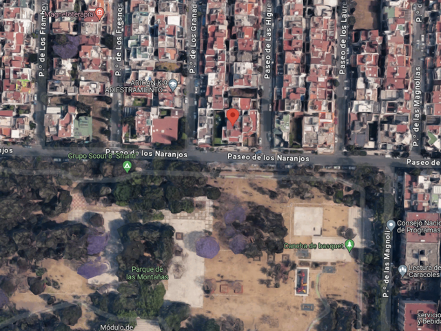 place photo 12