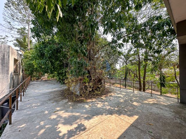 place photo 52