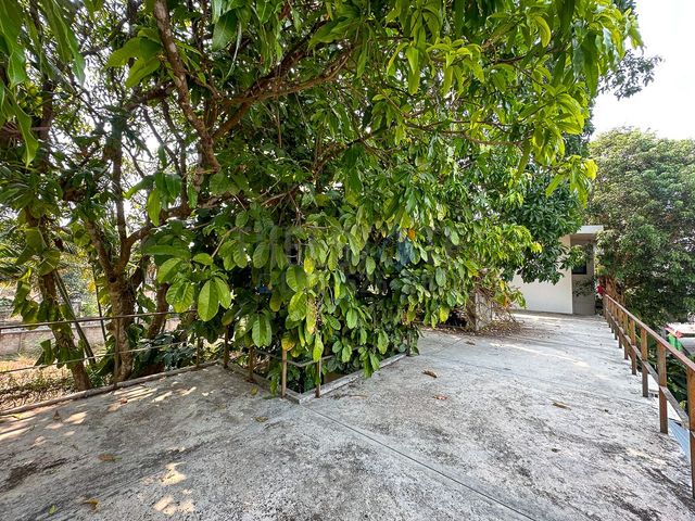 place photo 51