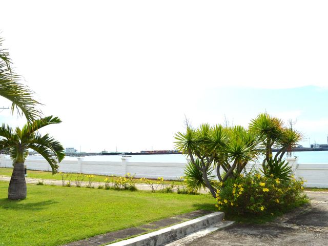 place photo 31