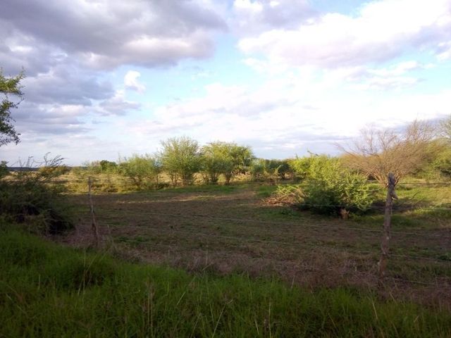 place photo 19