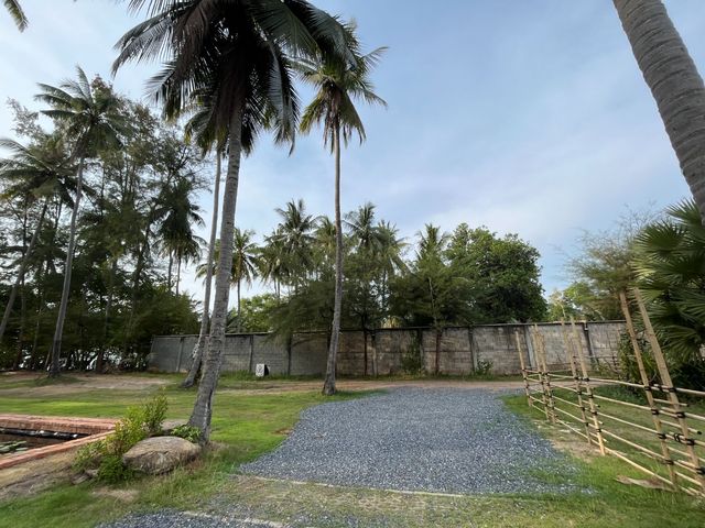 place photo 23