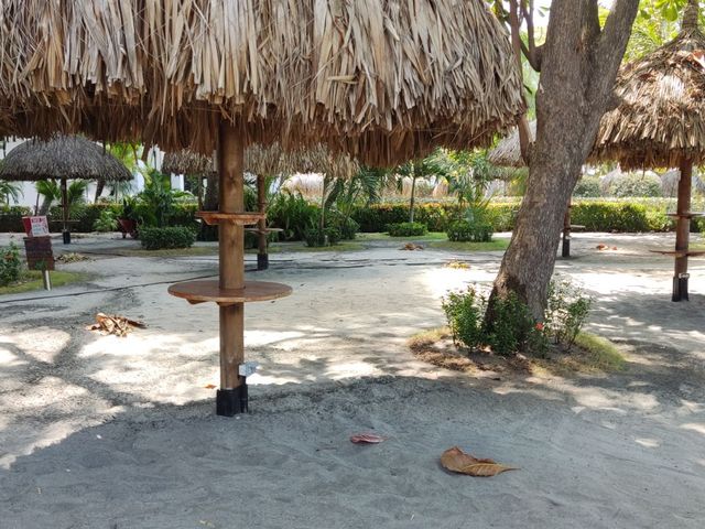 place photo 24