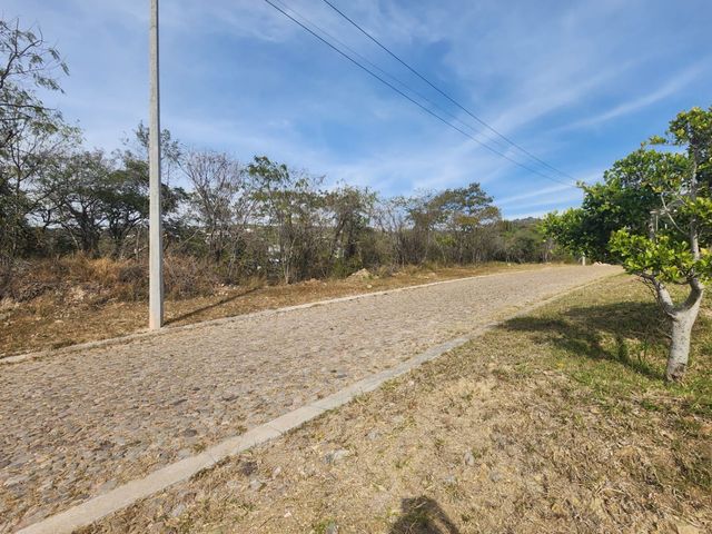place photo 15