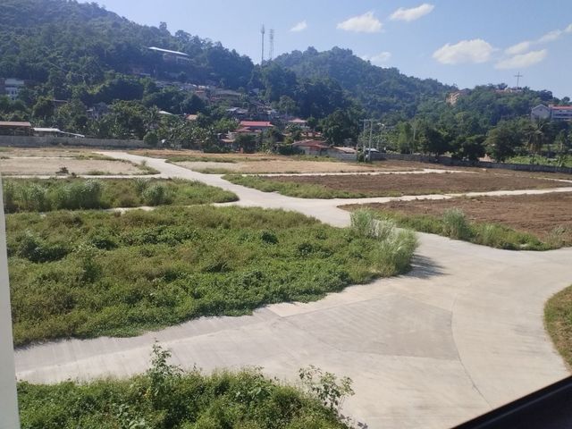 place photo 16