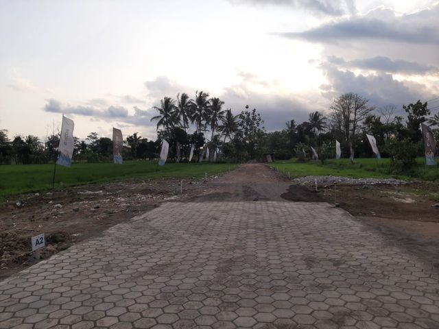 place photo 5