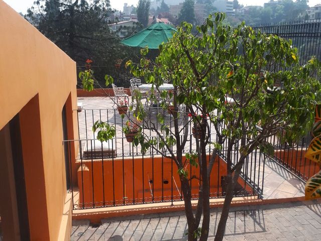 place photo 33