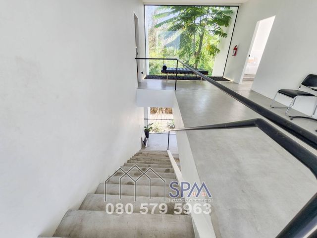 place photo 49