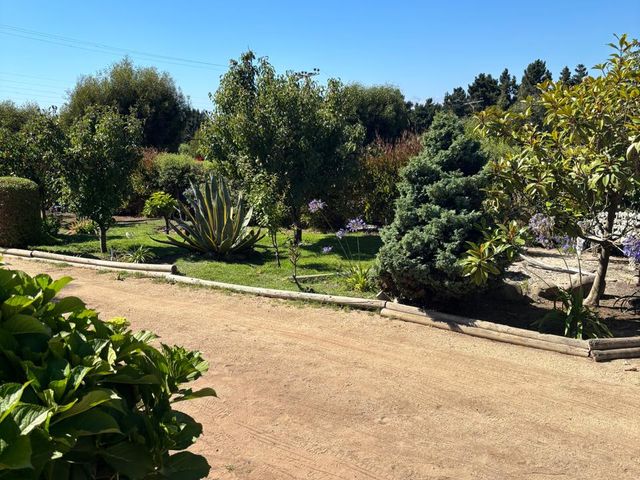 place photo 41