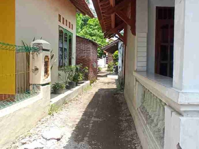place photo 15