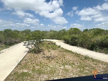 place photo 41