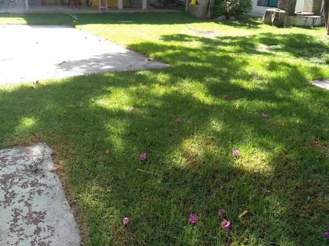place photo 41