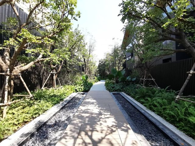 place photo 58