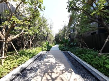 place photo 58