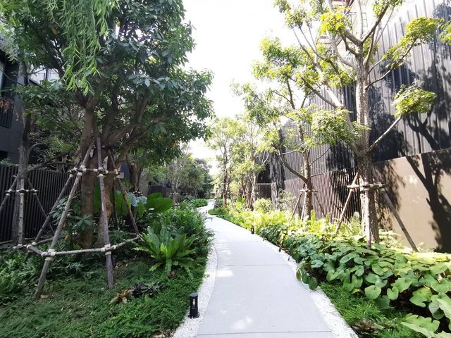 place photo 57
