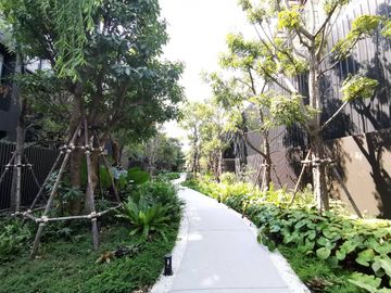 place photo 57