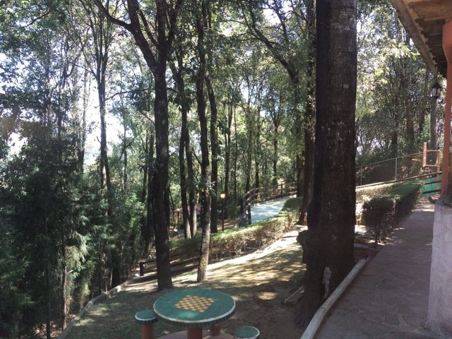 place photo 20