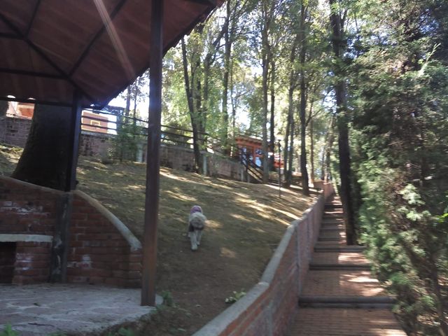 place photo 35