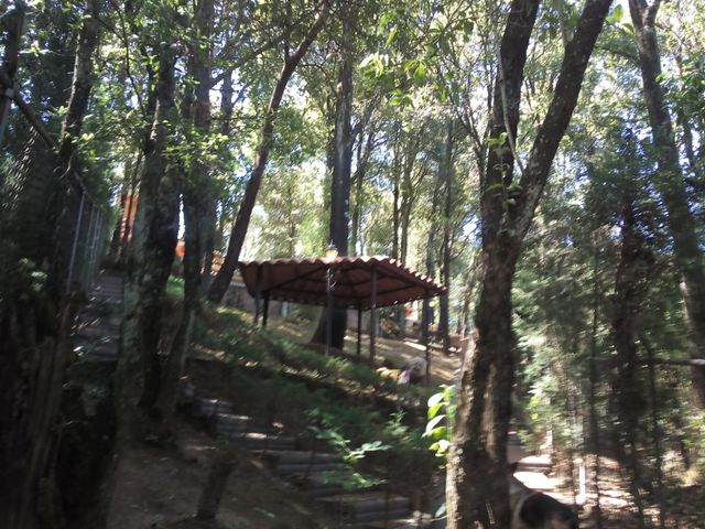 place photo 34