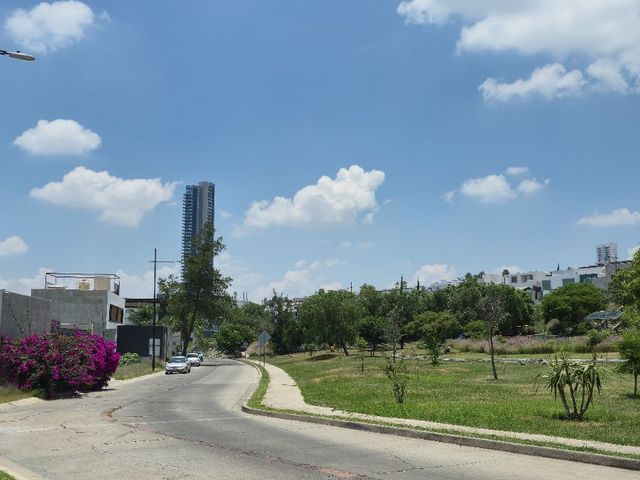 place photo 26
