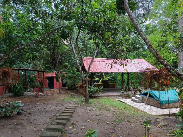 place photo 22