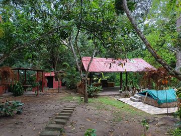 place photo 22