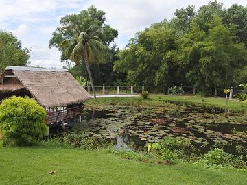 place photo 31