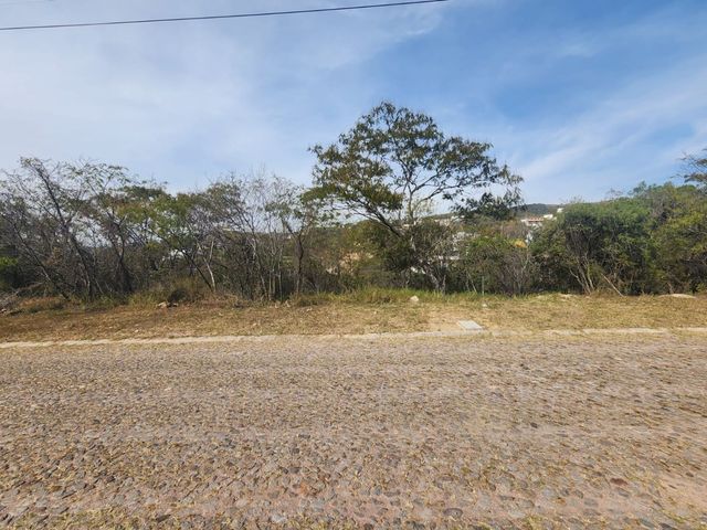 place photo 16