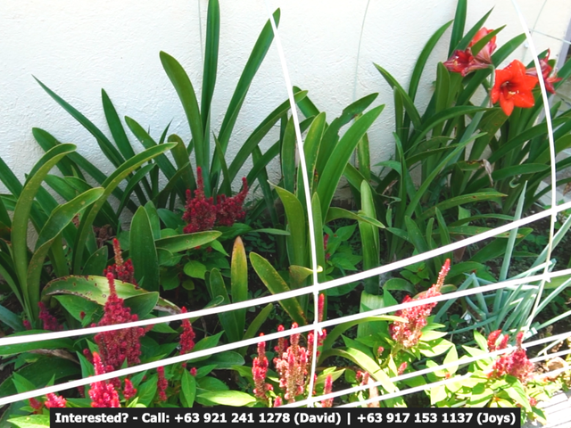 place photo 43