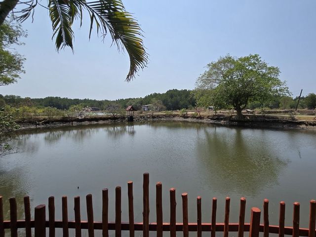 place photo 28