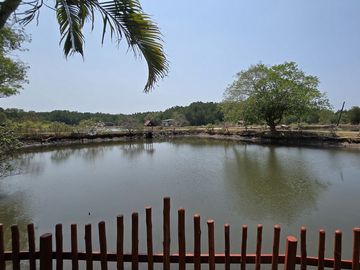 place photo 28