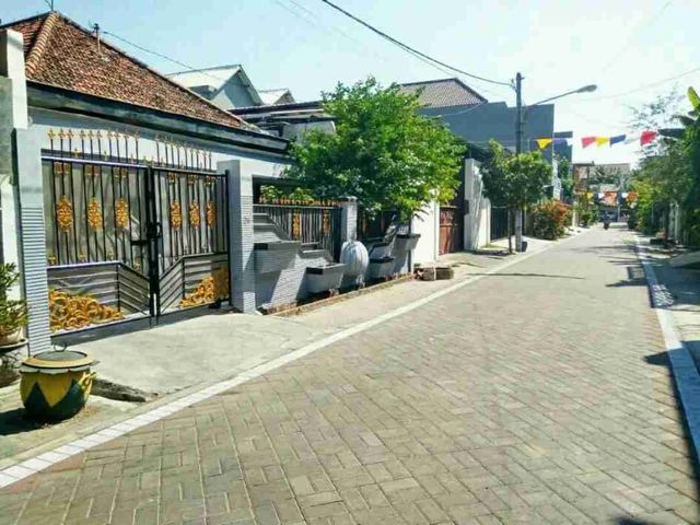 place photo 7