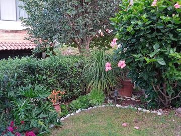 place photo 35