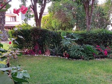place photo 34