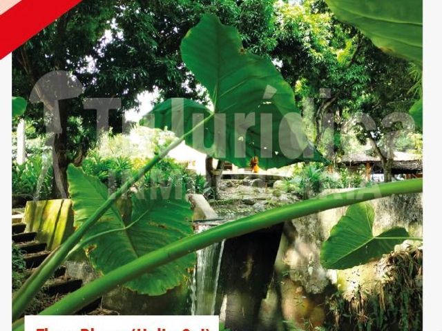 place photo 20