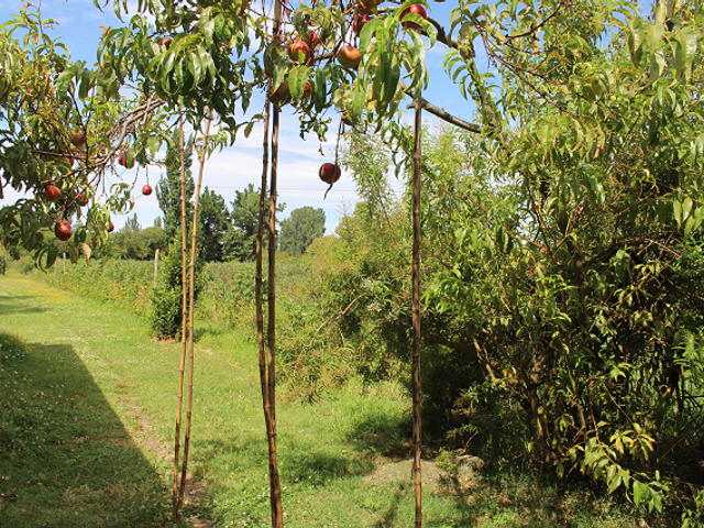 place photo 25