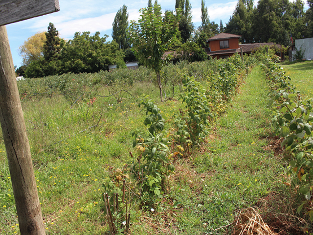 place photo 21