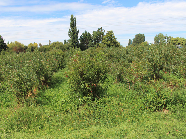 place photo 26