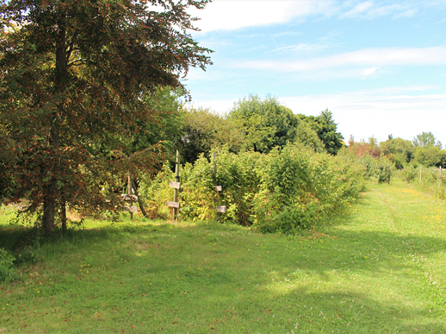 place photo 23