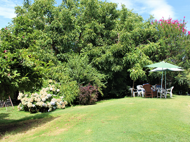 place photo 19
