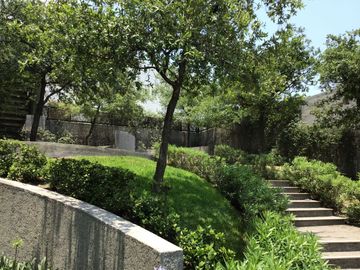 place photo 52