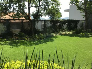 place photo 44