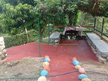 place photo 40