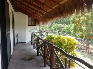 place photo 45